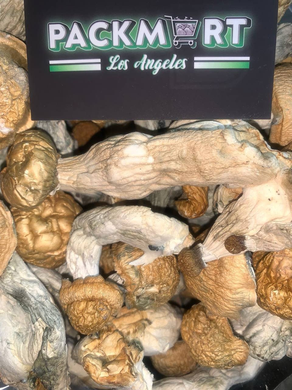 GOLDEN TEACHER SHROOMS