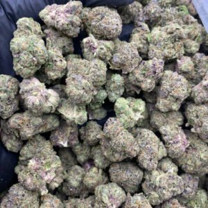 BLUE ZUSHIE EXOTIC MEDS