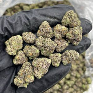 Glitterati indoor smalls