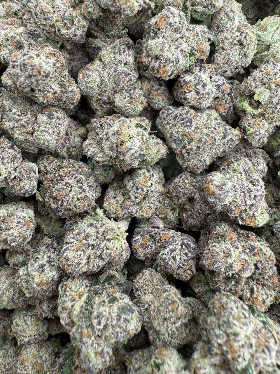 White Cherry Gumbo med