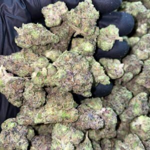 HASH BURGER EXOTIC MEDS