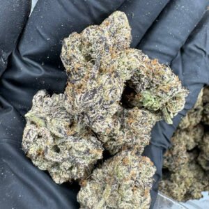 Tiger Candy BRANDABLE