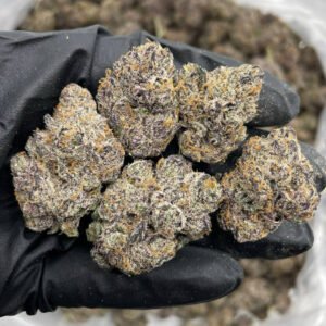 Cherry Wagyu indoors